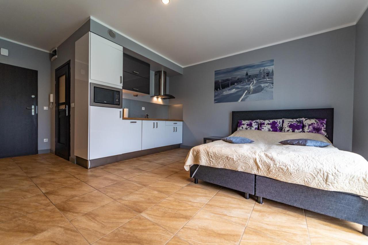 Apartament Zielony Zakatek Сверадув-Здруй Экстерьер фото